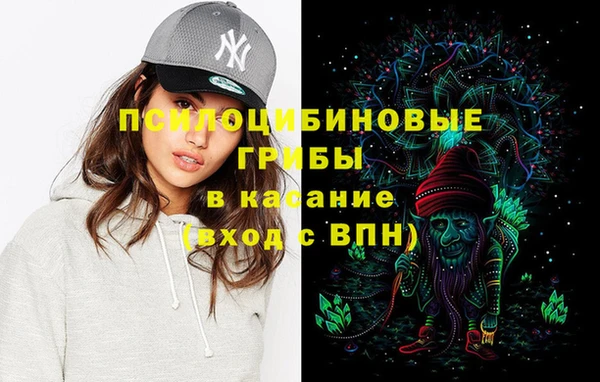 индика Белоозёрский