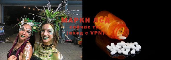 spice Беломорск