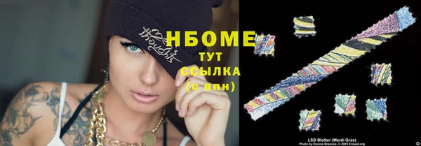 индика Белоозёрский