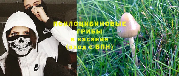 индика Белоозёрский
