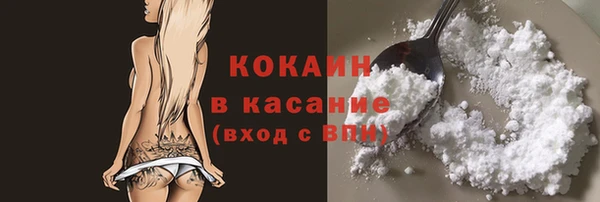 индика Белоозёрский