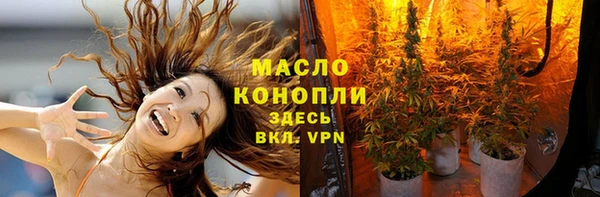 индика Белоозёрский