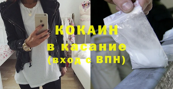 индика Белоозёрский