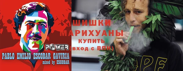 индика Белоозёрский